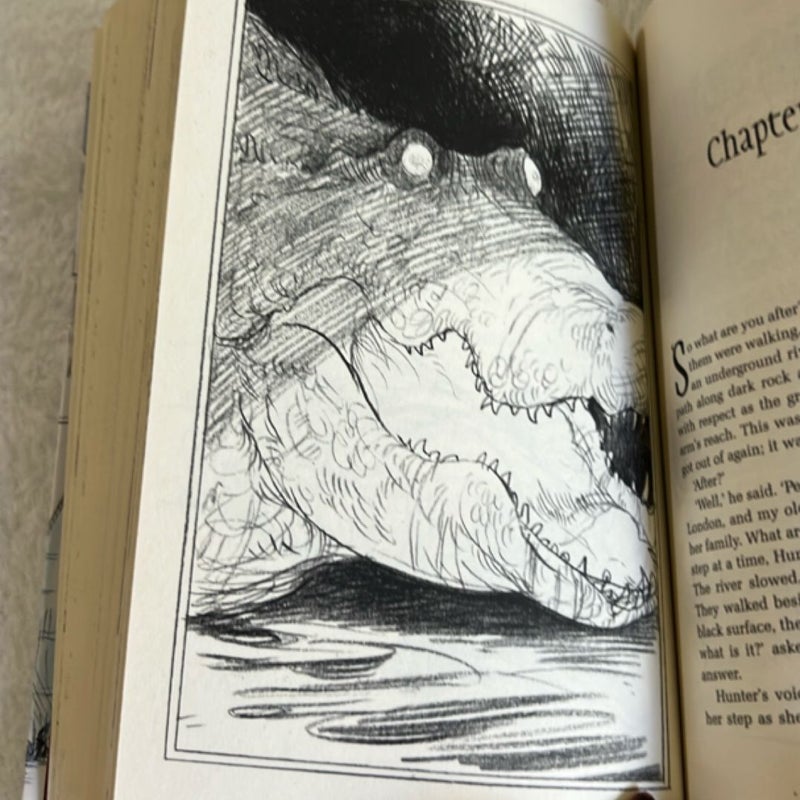Neverwhere Illustrated Edition