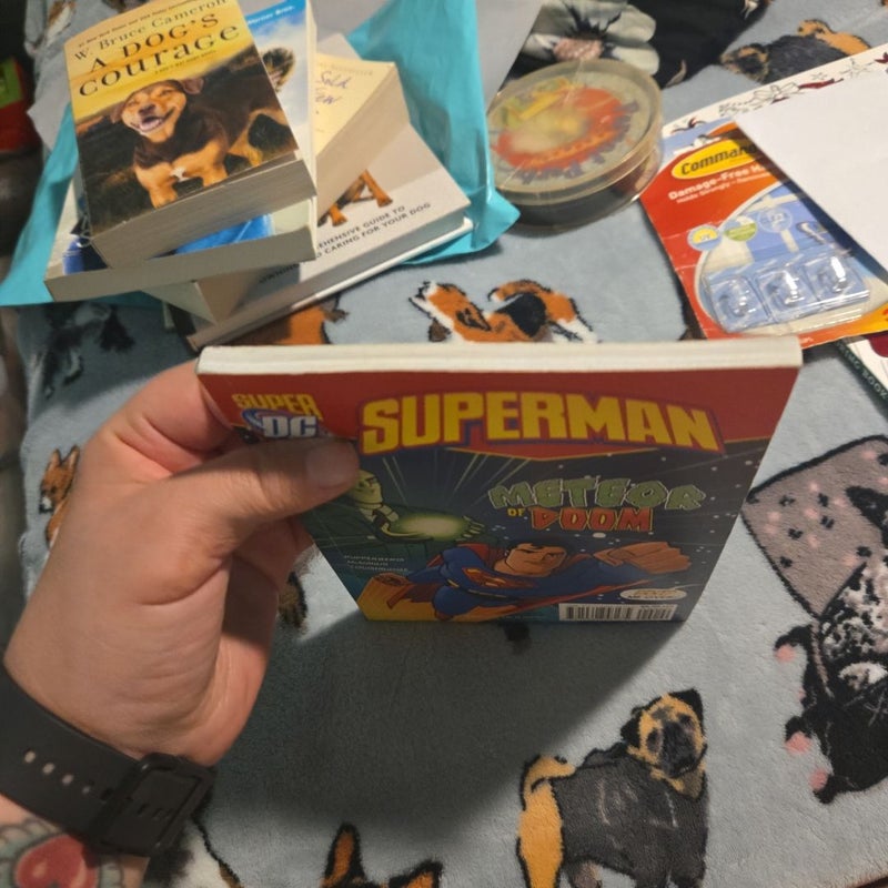 Batman/ Superman book