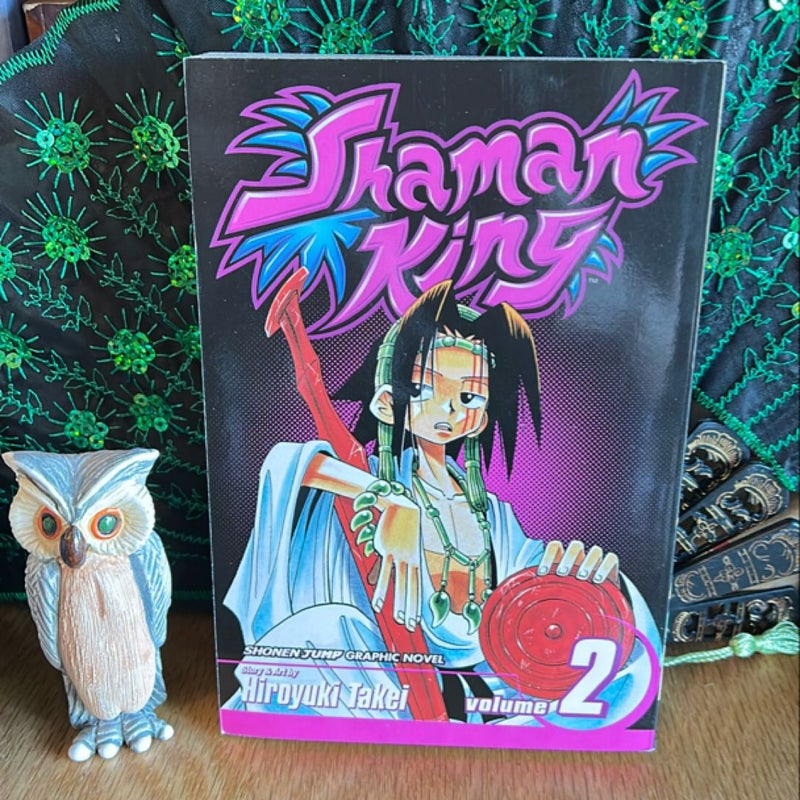 Shaman King, Vol. 2