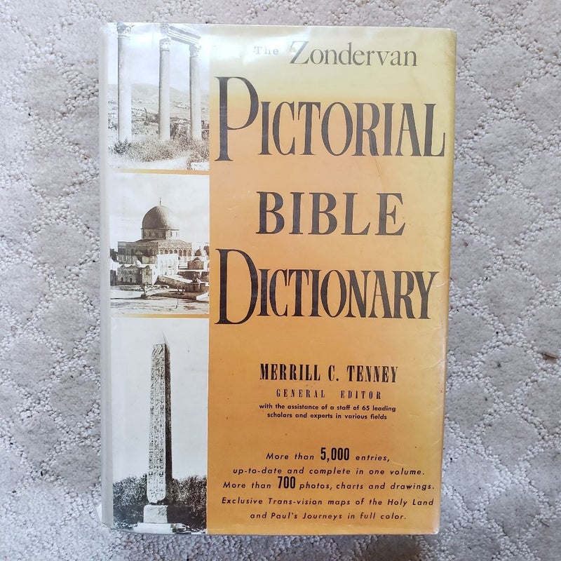 洋書 Zondervan Illustrated Bible Dictionary A look at the Zondervan Illustrated Bible Dictionary - YouTube