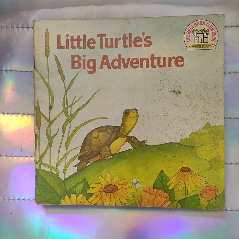 Little turtles Big adventure best book club ever vintage 1969