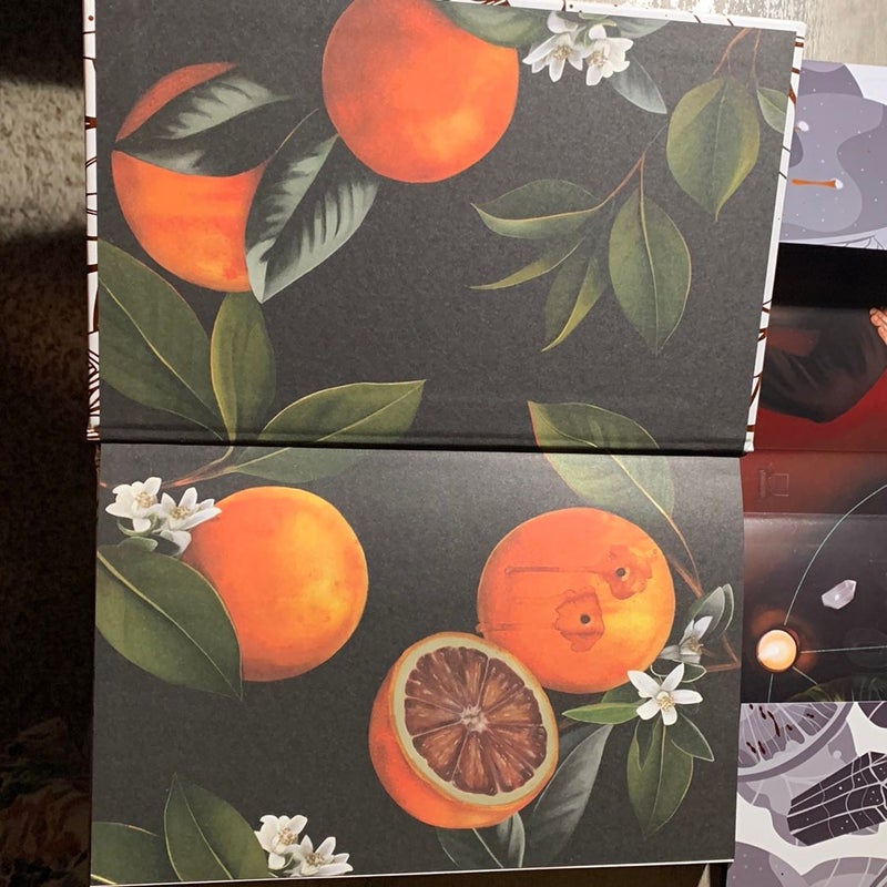 Blood Orange by Karina Halle , Hardcover Pangobooks