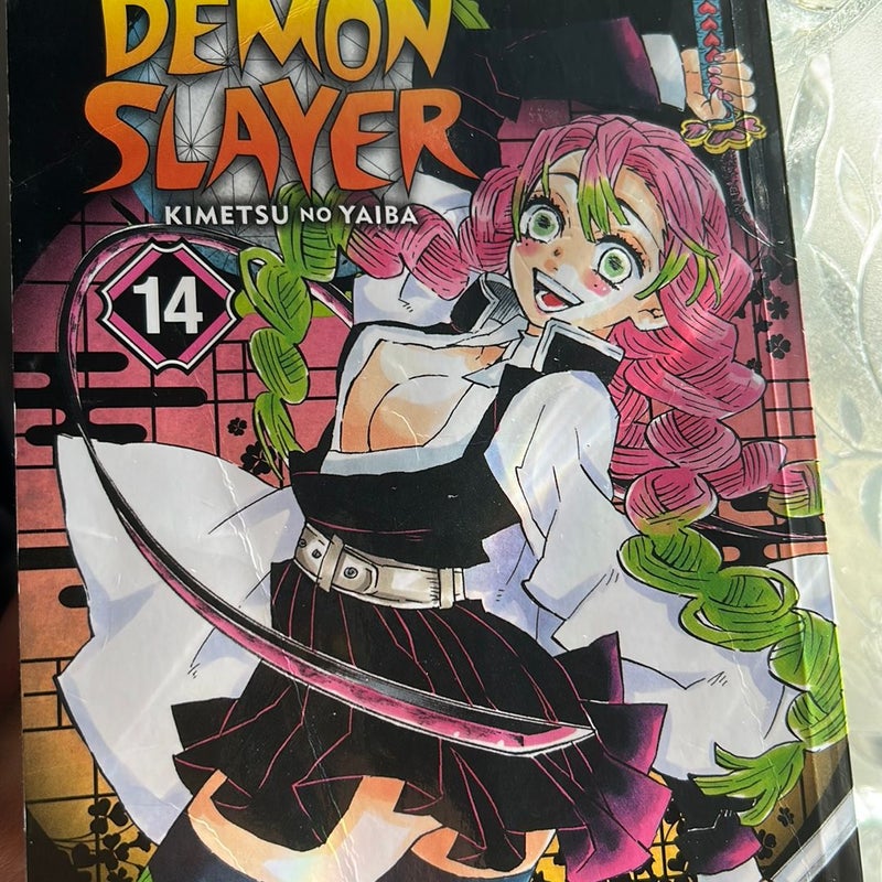 Demon Slayer: Kimetsu no Yaiba, Vol. 14 (14)