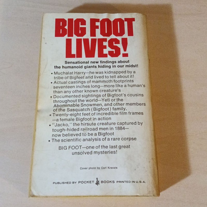 Search Bigfoot