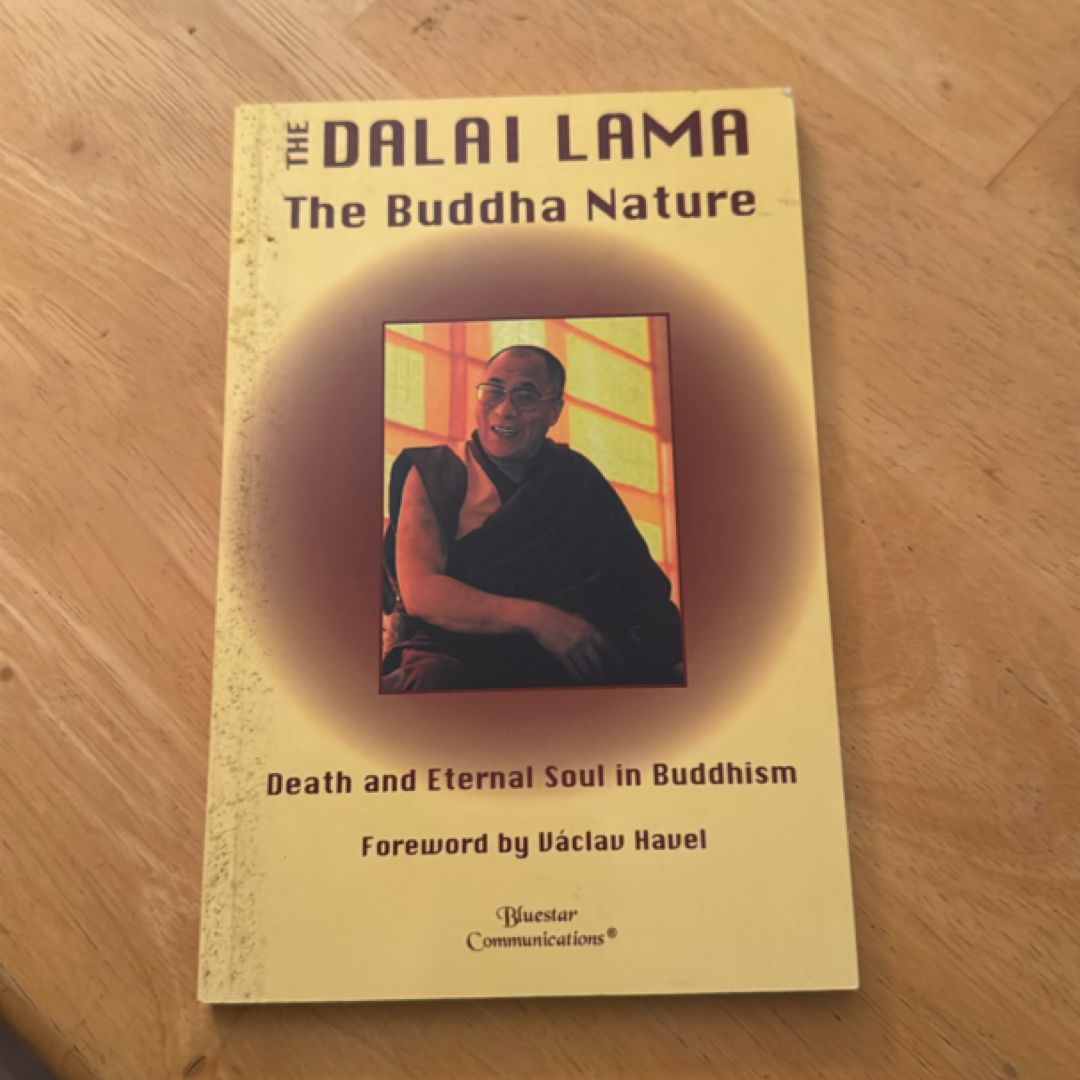 The Buddha Nature Death and Eternal Soul in Buddhism