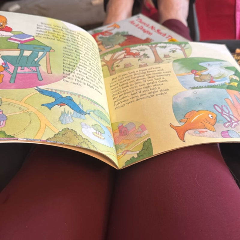 The Berenstain Bears Don't Pollute (Anymore)
