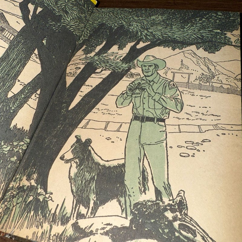 LASSIE  - The Secret of the Smelters' Cave 1968~ AUTHORIZED EDITION