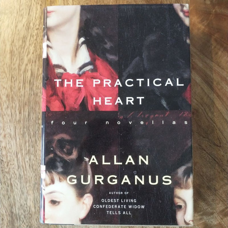 The practical heart by allan gurganus hardcover pangobooks