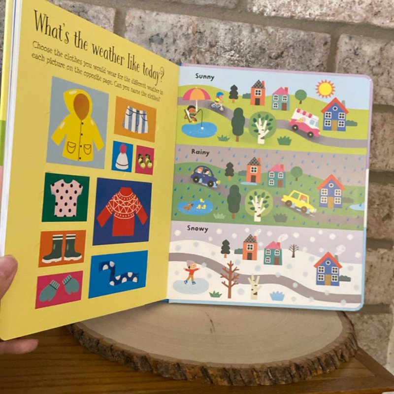 Lift-The-Flap Seasons and Weather IR