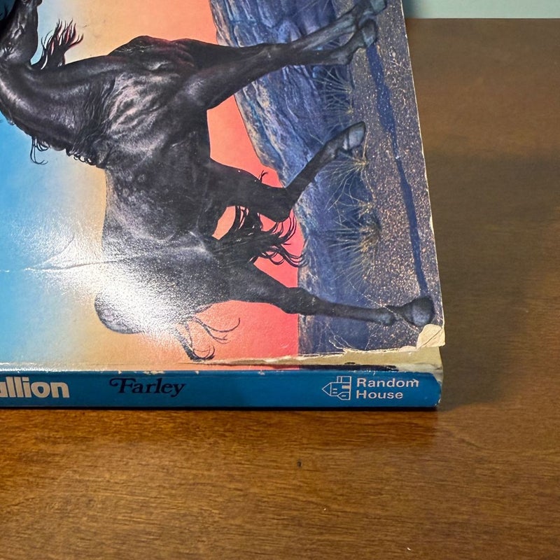 Black Stallion Books