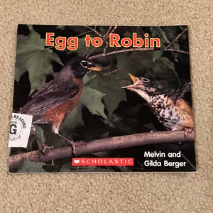 Egg to Robin