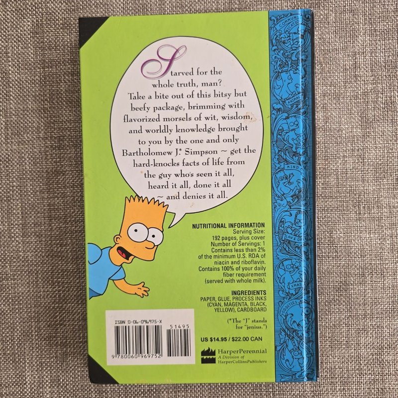 Bart Simpson's Guide to Life