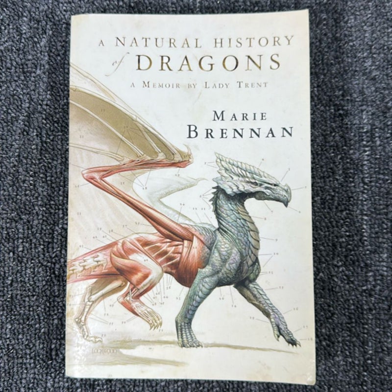 A Natural History of Dragons