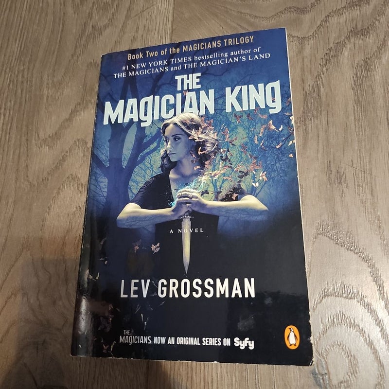 The Magician King (TV Tie-In)