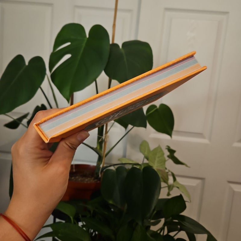 Little Book of Lettering