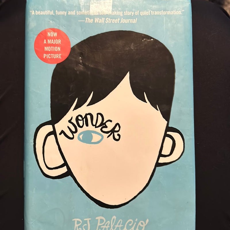 Wonder