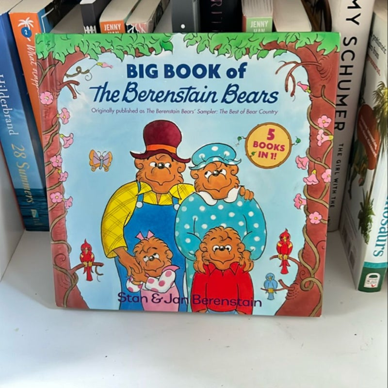 Big Book of the Berenstain Bears