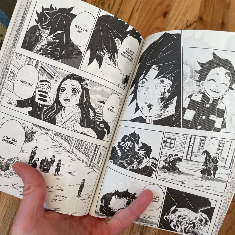 Demon Slayer: Kimetsu No Yaiba, Vol. 23