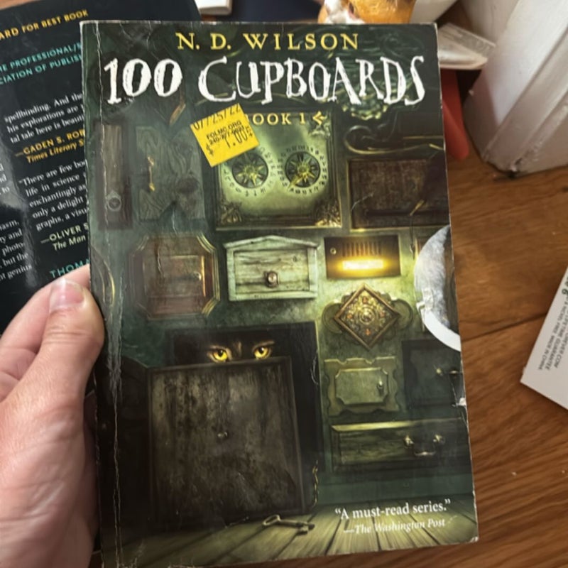 100 Cupboards (100 Cupboards Book 1)