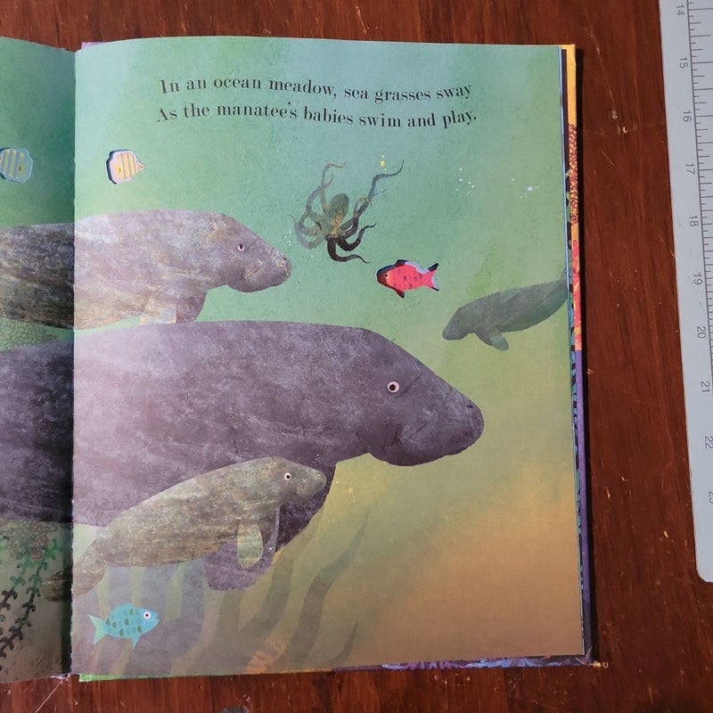 Ocean: a Peek-Through Picture Book