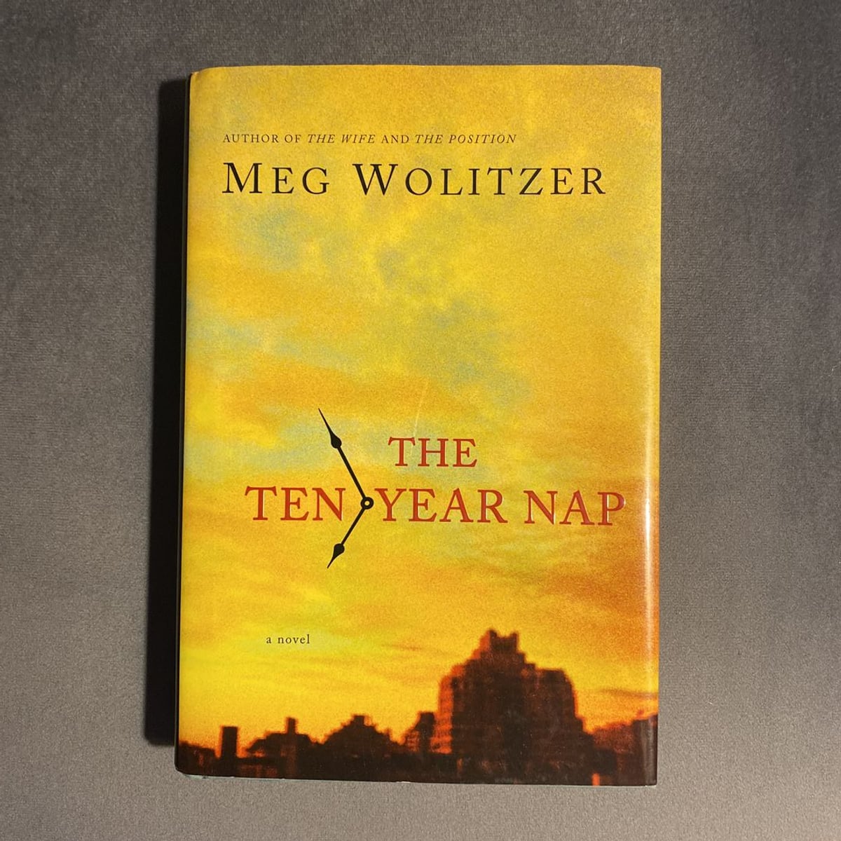 The TenYear Nap by Meg Wolitzer