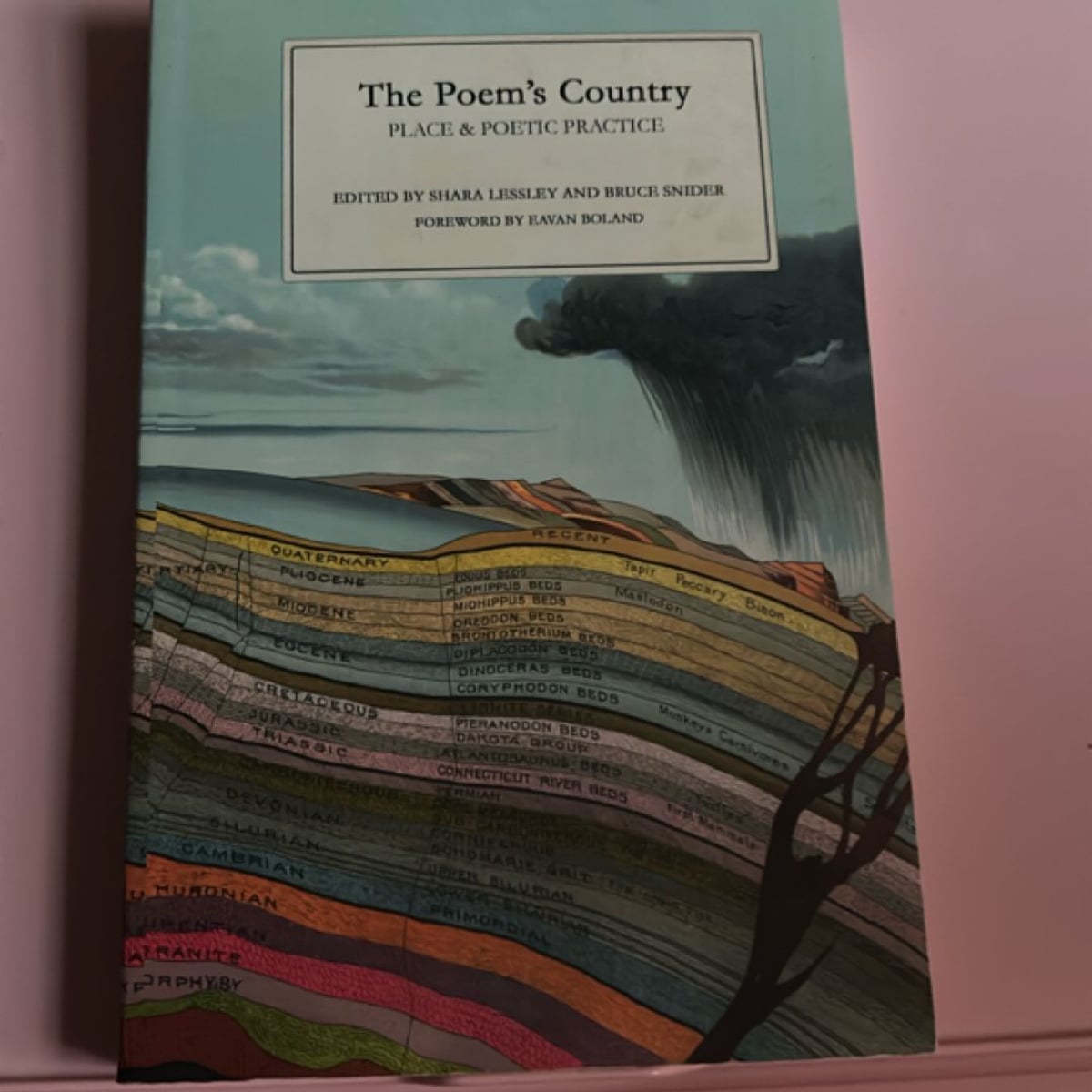 The Poem's Country by Shara Lessley