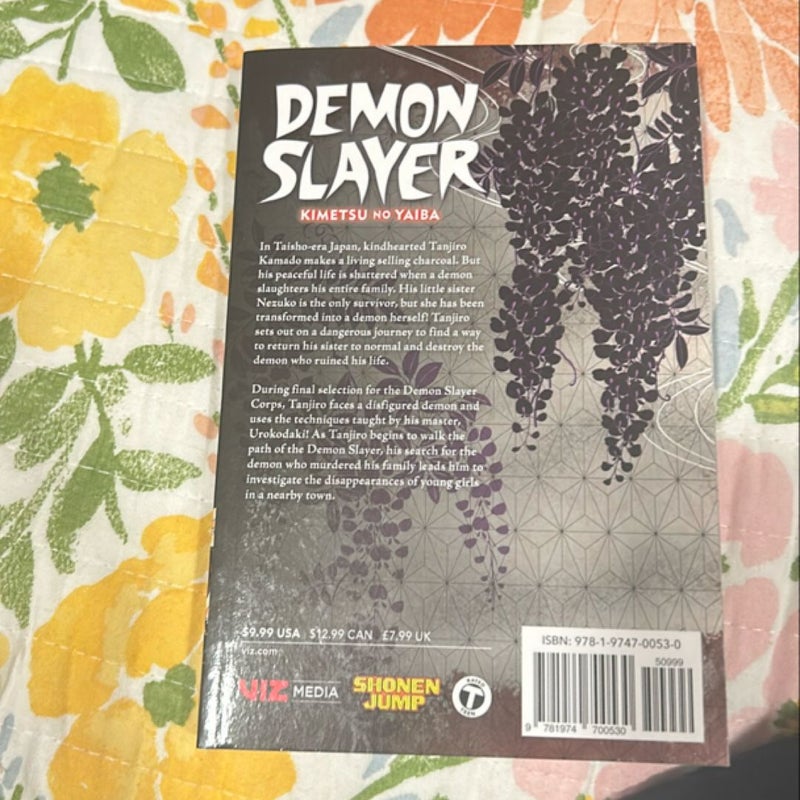 Demon Slayer: Kimetsu No Yaiba, Vol. 2