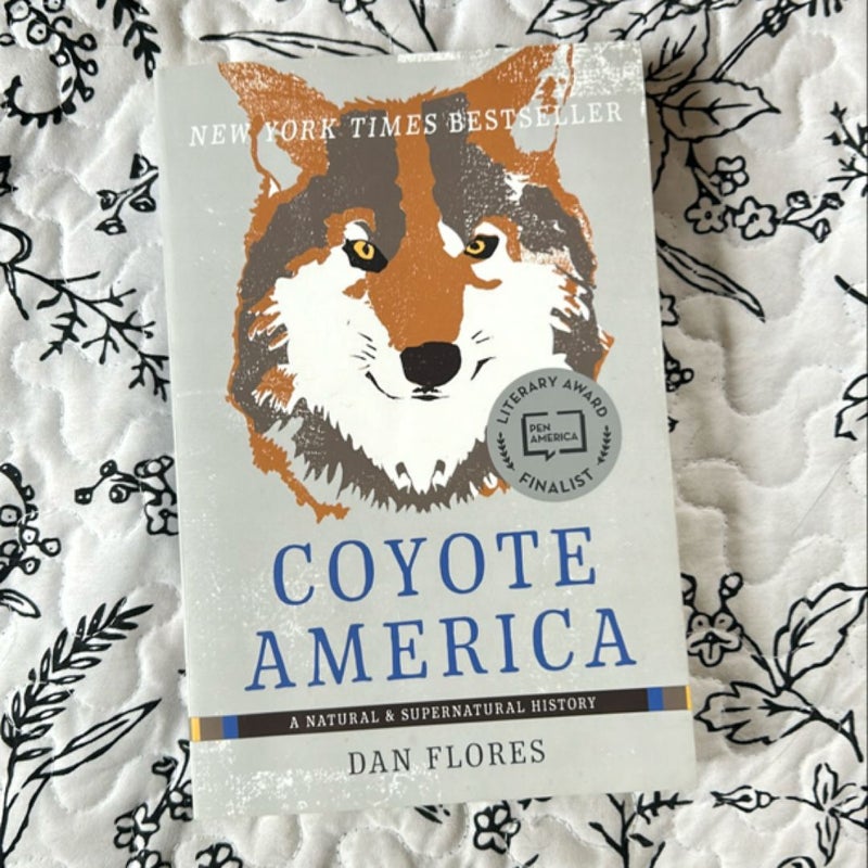 Coyote America