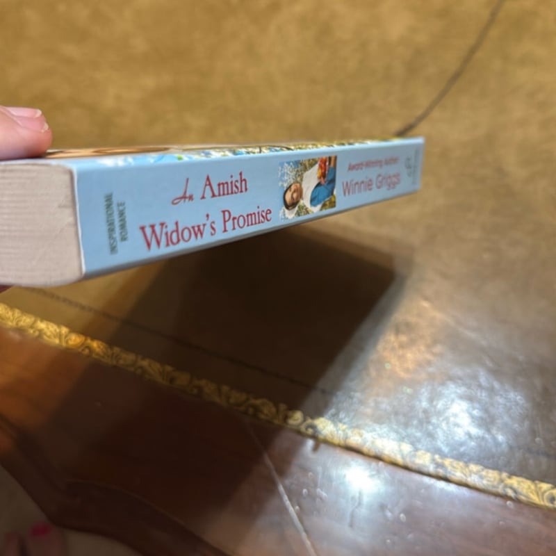 An Amish Widow's Promise