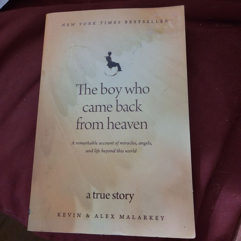 The Boy Who Came Back from Heaven