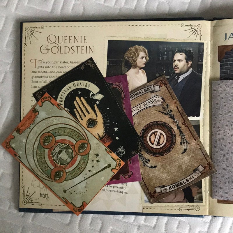 Newt Scamander: A Movie Scrapbook