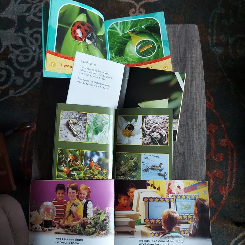 Bugs and Lizards books