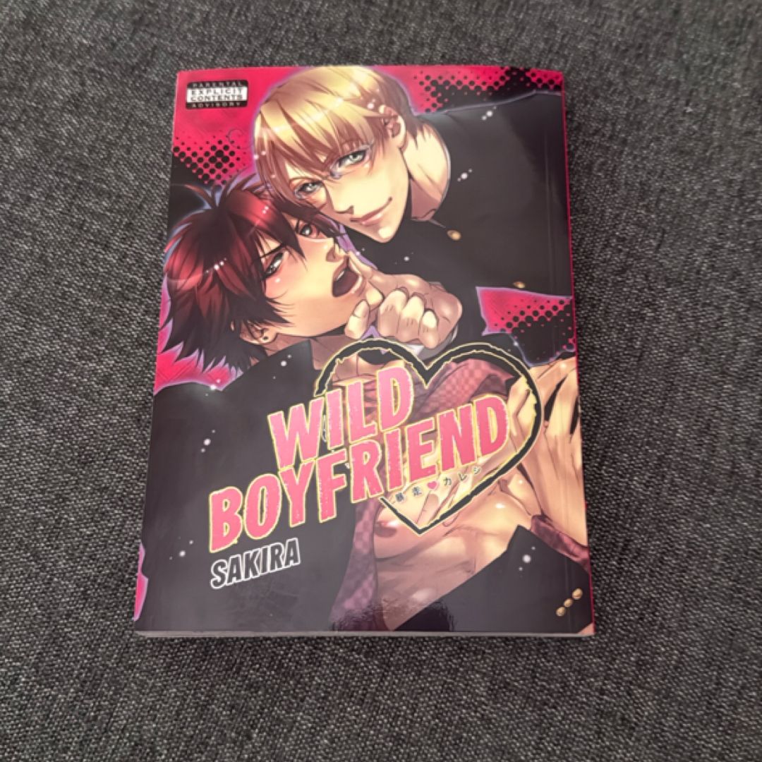 Wild Boyfriend