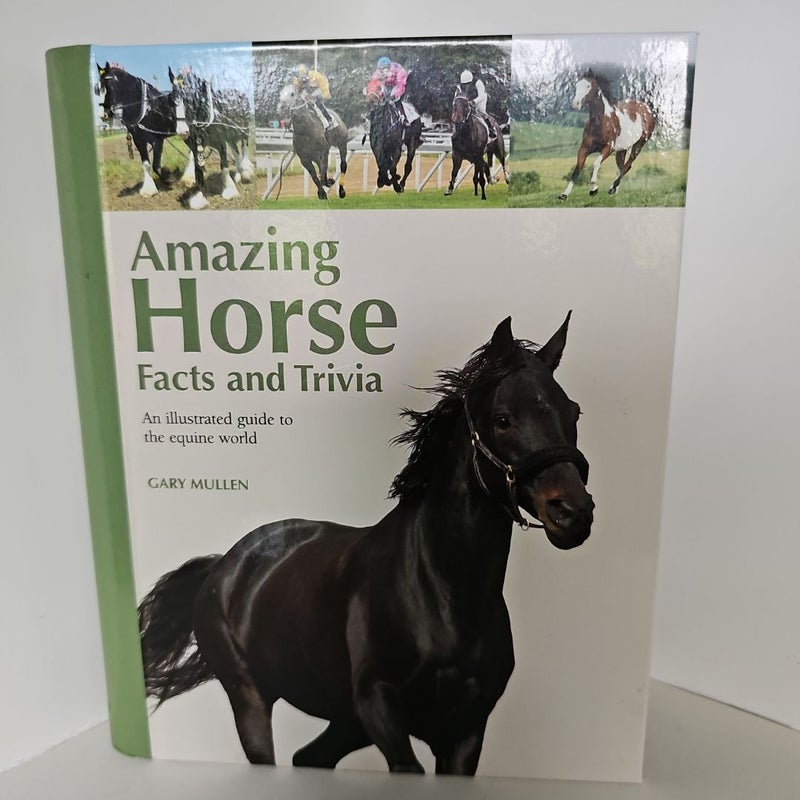 Amazing Horse Facts and Trivia