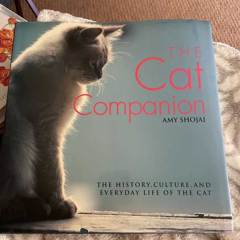 Cat Companion
