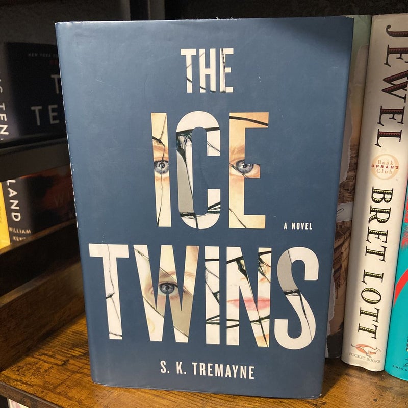 The Ice Twins