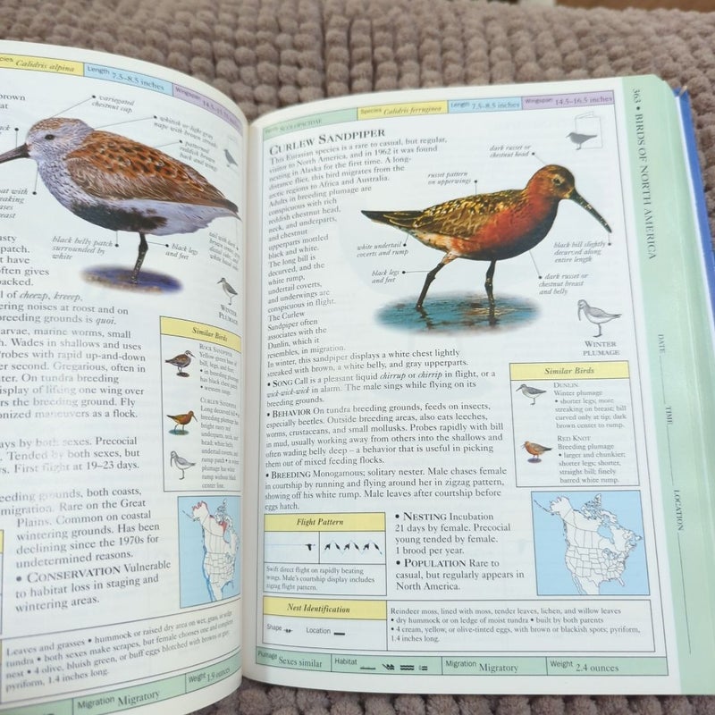 Birds of North America