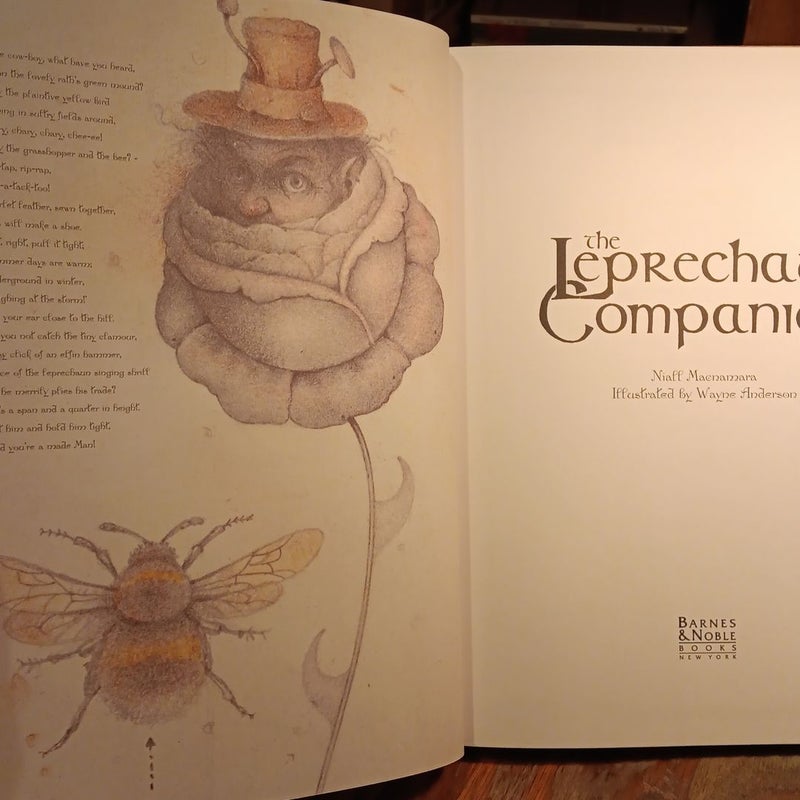 Leprechaun Companion Illustrations by Wayne Anderdon