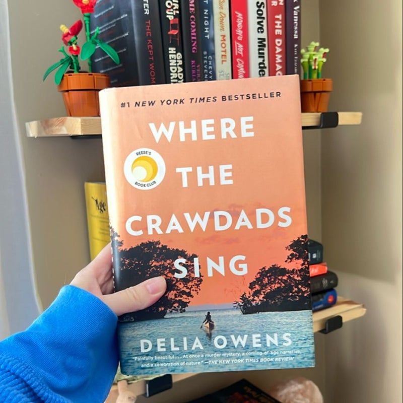 Where the Crawdads Sing