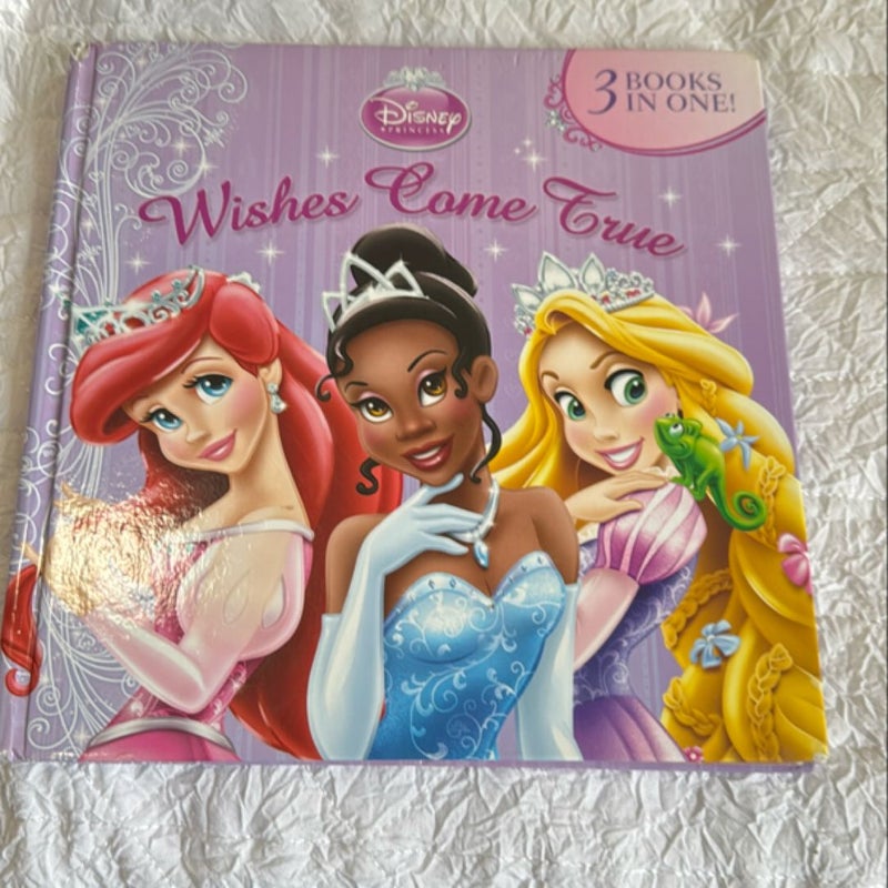 Wishes Come True (Disney Princess)