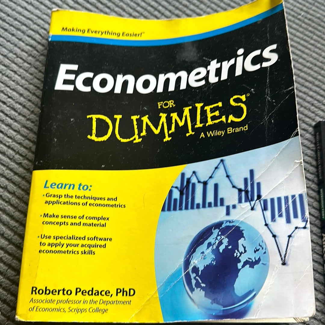 Econometrics for Dummies by Roberto Pedace, Paperback Pangobooks