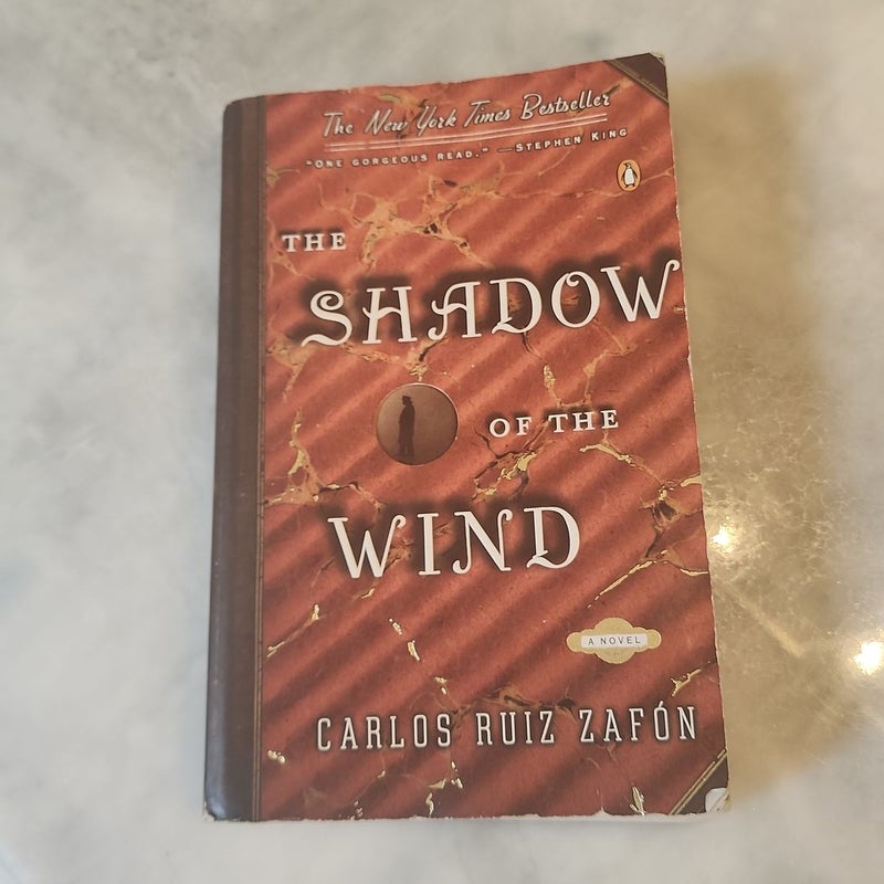 The Shadow of the Wind