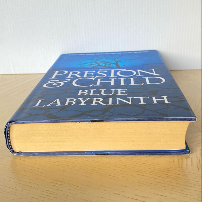 Blue Labyrinth - Hardcover First Edition 