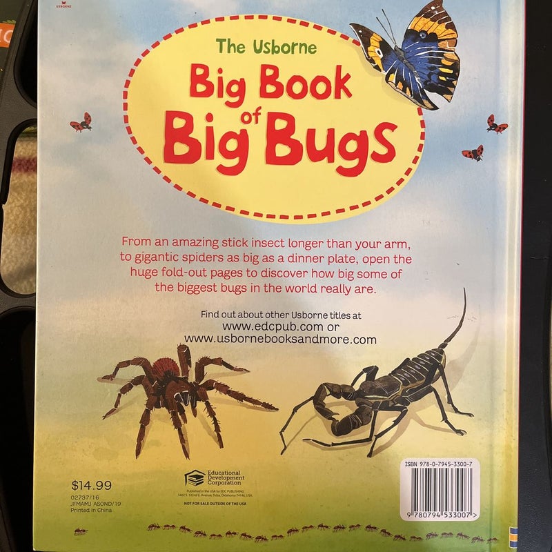 The Usborne Big Book of Big Bugs