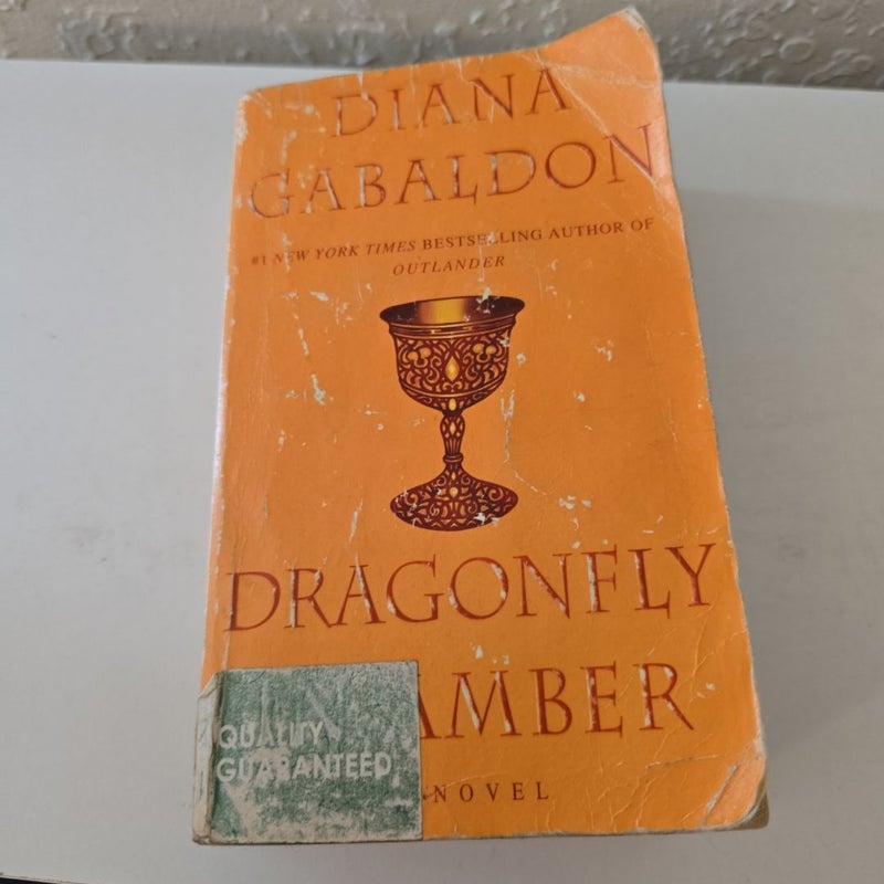 Dragonfly in Amber