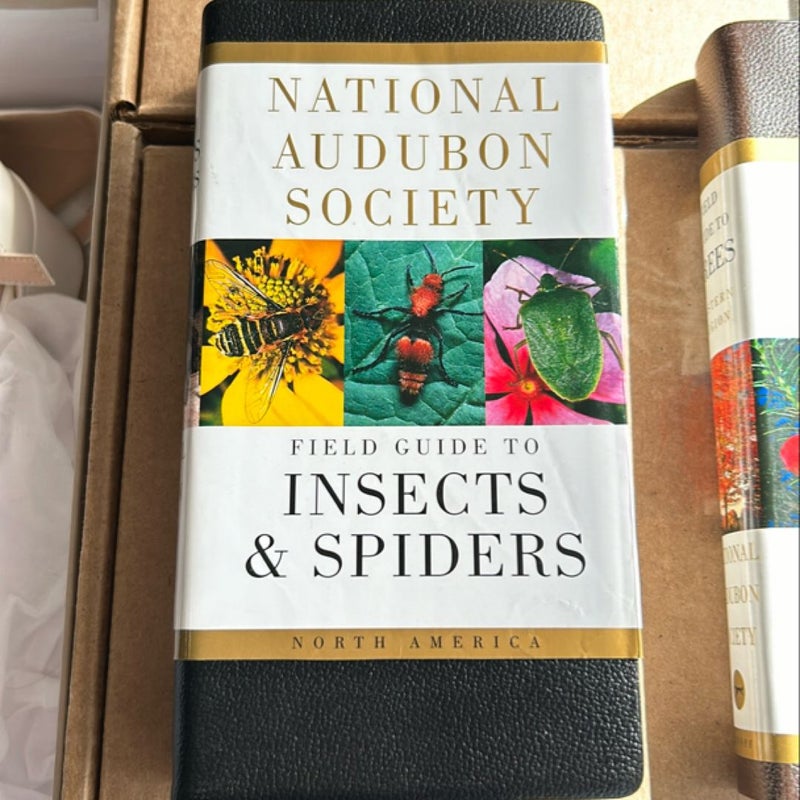 National Audubon Society Field Guide to Insects and Spiders