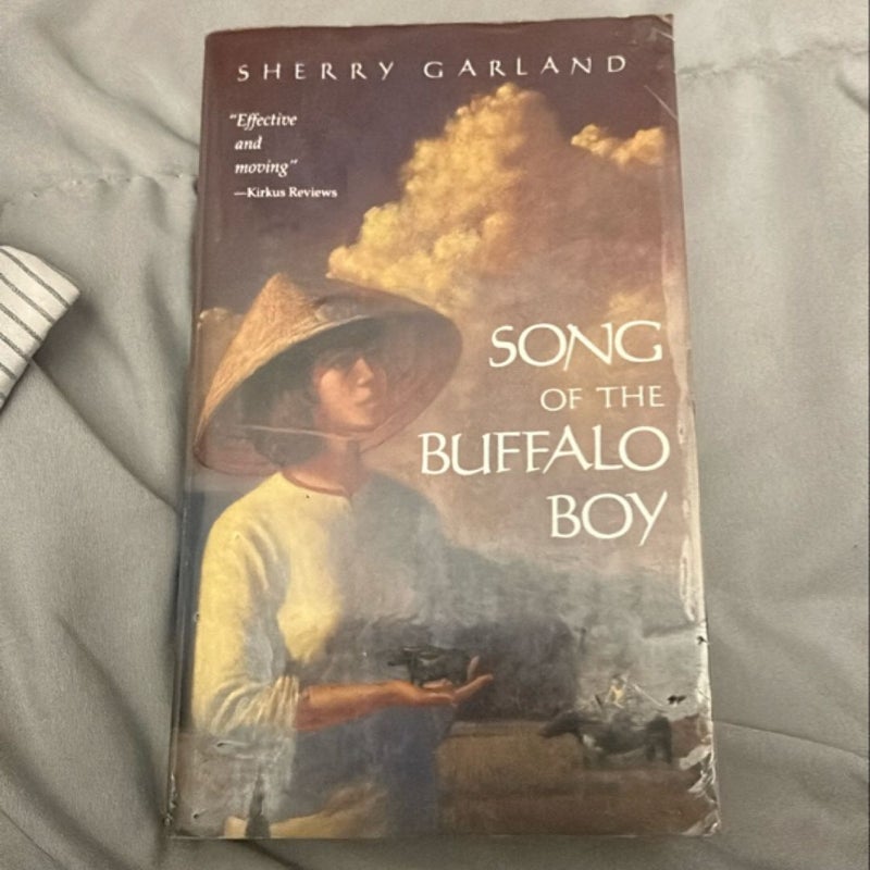 Song of the Buffalo Boy