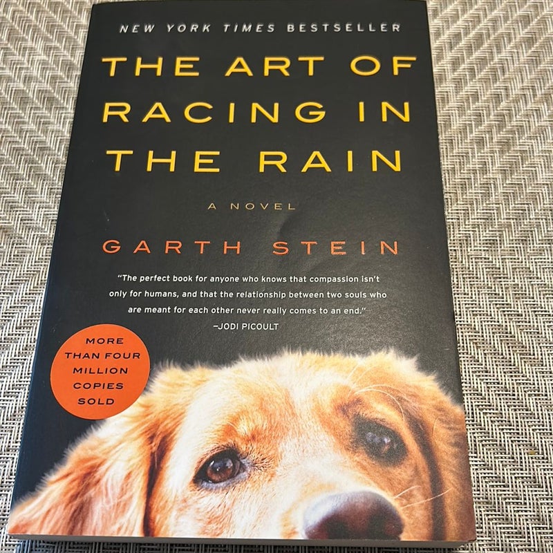 The Art of Racing in the Rain