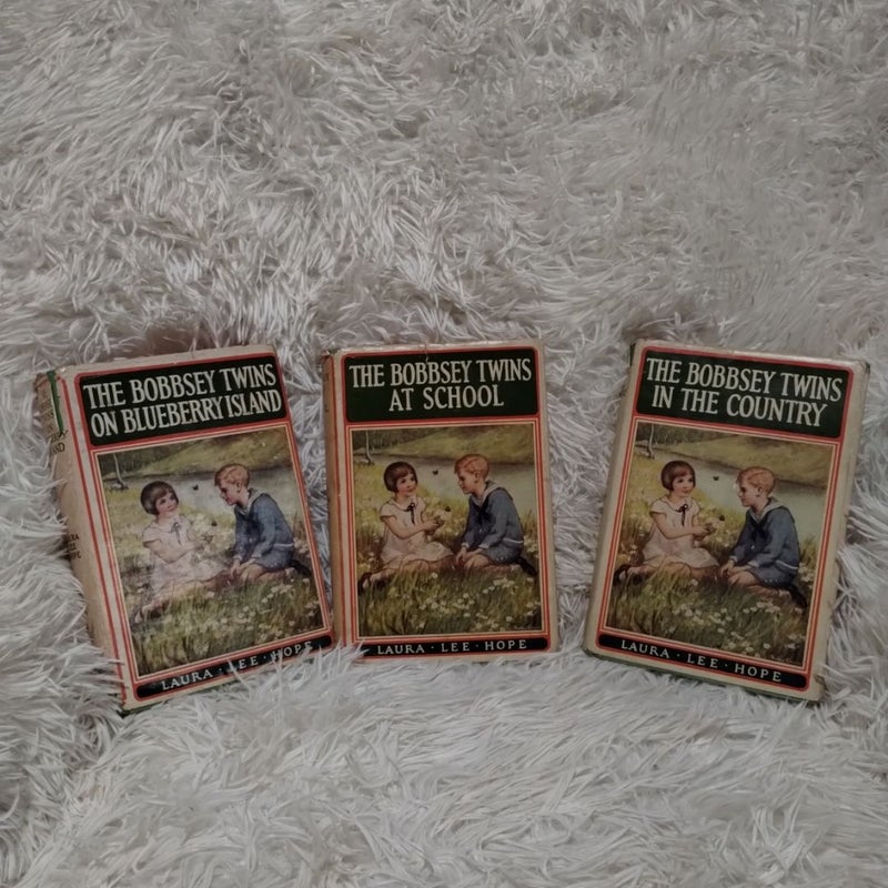 BUNDLE: The Bobbsey Twins 