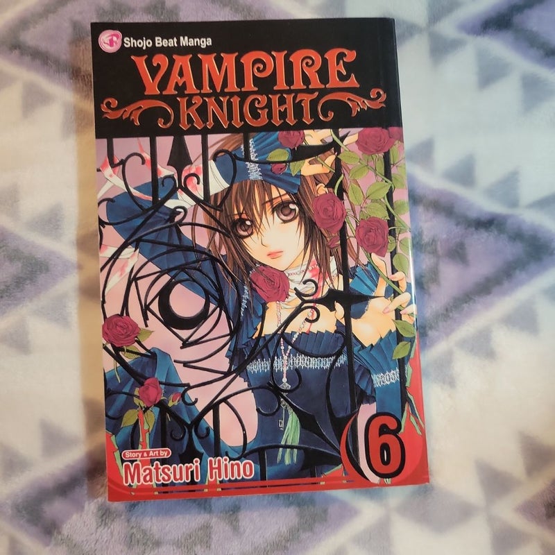 Vampire Knight, Vol. 6